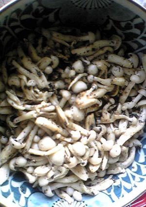 しめじの胡麻和え-レシピのメイン写真