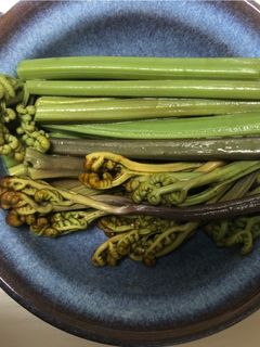 わらびのしょうゆ和え-レシピのメイン写真