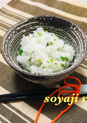 こしあぶらご飯 春の香り-レシピのメイン写真