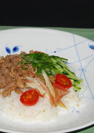 焼肉と薬味のサラダご飯(*^-^*)-レシピのメイン写真