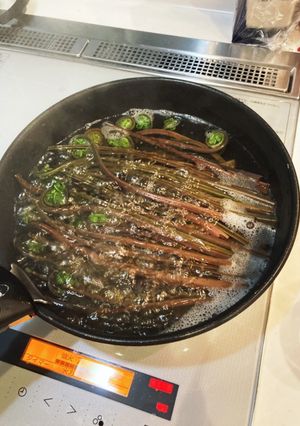 赤こごみ下処理-レシピのメイン写真