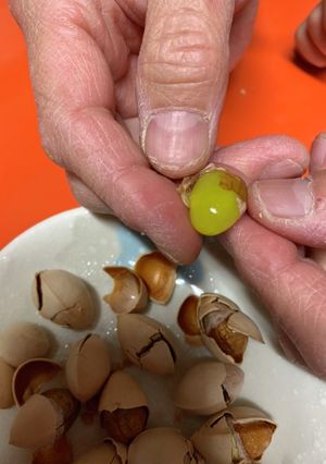 銀杏失敗なし-レシピのメイン写真