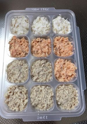 離乳食の魚の冷凍-レシピのメイン写真