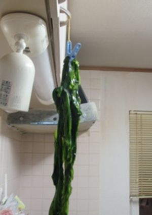 おいしい塩蔵わかめの戻し方-レシピのメイン写真