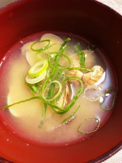 超楽々 美味しいあさりの味噌汁 作ります-レシピのメイン写真