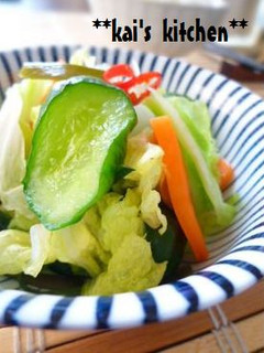 サラダ感覚で~簡単!いろいろ野菜のお漬物-レシピのメイン写真