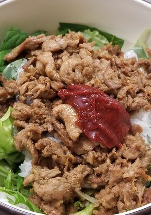 豚のブルゴギ丼-レシピのメイン写真