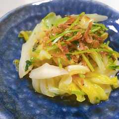 春キャベツと豆苗の香味蒸し煮-レシピのメイン写真