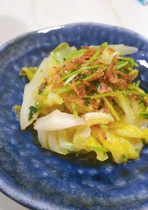 春キャベツと豆苗の香味蒸し煮-レシピのメイン写真