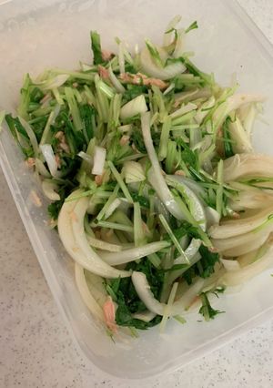 新玉ねぎの水菜ツナサラダ-レシピのメイン写真