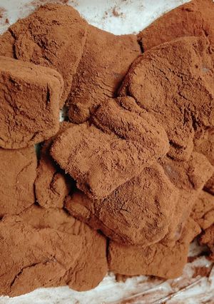 チョコレート不要！オオバコの生チョコ餅-レシピのメイン写真