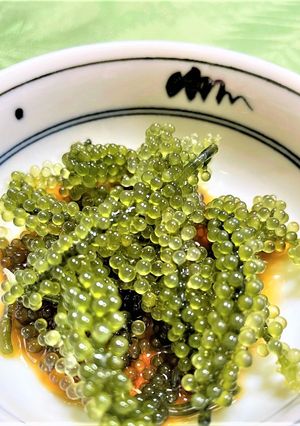 海ぶどうの加減酢かけ-レシピのメイン写真
