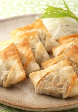 新玉ねぎの一口餃子-レシピのメイン写真