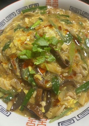 　酸っぱ辛いウルトラマンドの酸辣湯麺-レシピのメイン写真