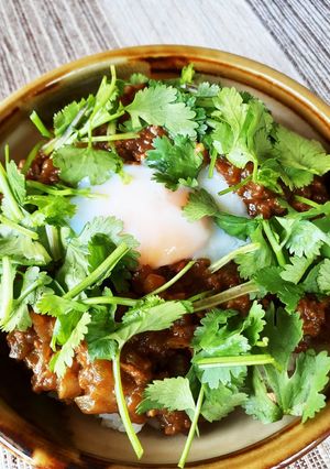 キーマカレー＋パクチー＝マイルドな味！？-レシピのメイン写真