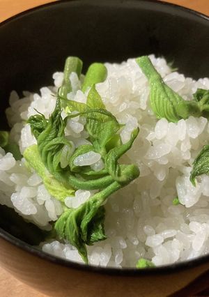タラの芽ごはん-レシピのメイン写真