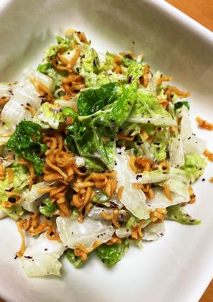 白菜とチキンラーメンでさっぱり合え。-レシピのメイン写真