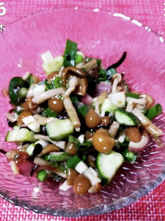 ヘルシー副菜!ナメコと胡瓜でさっぱりに!-レシピのメイン写真