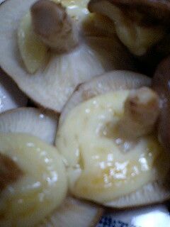 しいたけのマヨ焼き♪-レシピのメイン写真
