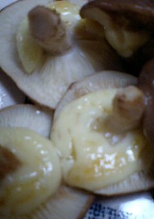 しいたけのマヨ焼き♪-レシピのメイン写真