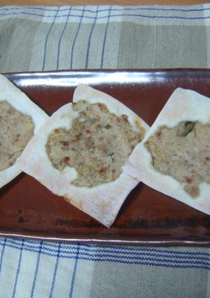 おつまみ！餃子ぱりぱり-レシピのメイン写真