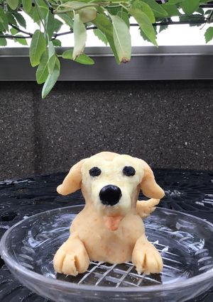 愛犬に手作りケーキデコ(ゴールデン.R)-レシピのメイン写真