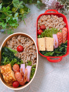 高校2年女子お弁当♥2021.05.08-レシピのメイン写真