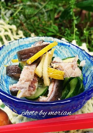 コラーゲンたっぷり☆サメ皮で酢の物-レシピのメイン写真