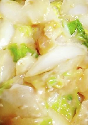 白菜のこっくりマヨ煮-レシピのメイン写真