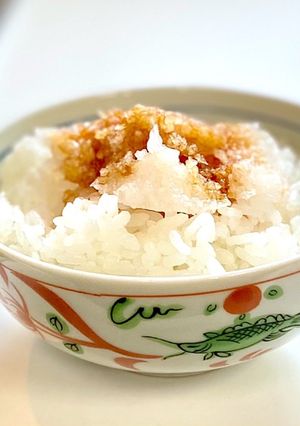 大根おろしだけのご飯-レシピのメイン写真