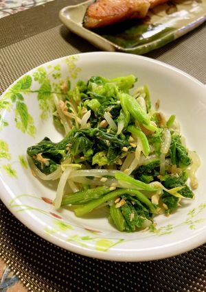 ほうれん草ともやしのツナ胡麻和え-レシピのメイン写真