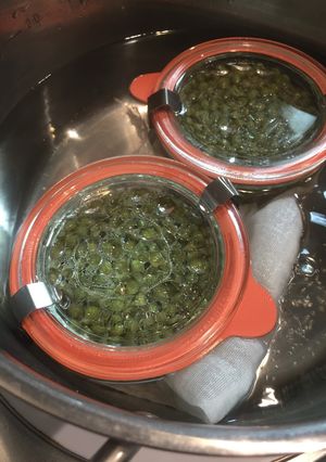 本気の長期保存＊実山椒＊醤油出汁煮-レシピのメイン写真