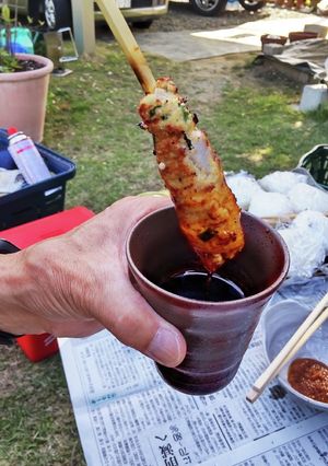 アウトドアに最適！ほぼ高野豆腐のつくね-レシピのメイン写真