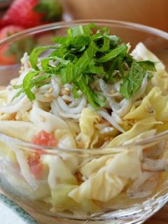 春キャベツとしらすの梅肉和え-レシピのメイン写真