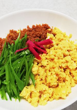 そぼろ丼　ソイミートで　まるでお肉-レシピのメイン写真