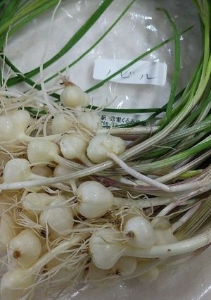 のびるの下処理＆調理法(薬味、味噌炒め)-レシピのメイン写真