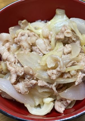 わが家の豚丼☆-レシピのメイン写真