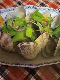 簡単あさりの酒蒸し-レシピのメイン写真