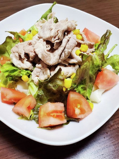 豚しゃぶのサラダきしめん-レシピのメイン写真