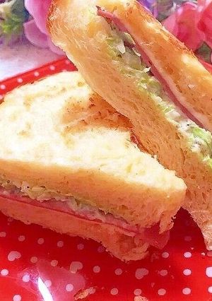 キャベツシーザーのハムチーズサンドイッチ-レシピのメイン写真