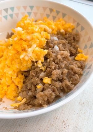 2色のそぼろ丼。-レシピのメイン写真