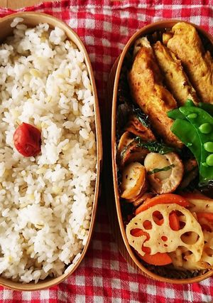 弁当★スパイシーカレーサラダチキンピカタ-レシピのメイン写真