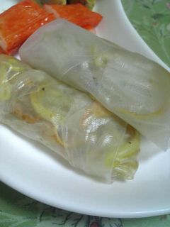カレーもやしの生春巻き-レシピのメイン写真