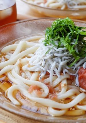 超簡単5分♪梅しらすのぶっかけうどん-レシピのメイン写真