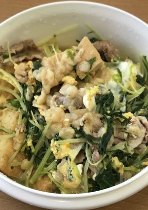 水菜と厚揚げと豚肉の天とじ-レシピのメイン写真