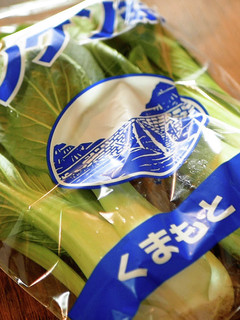 チンゲン菜の冷凍保存方法-レシピのメイン写真