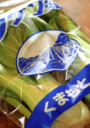 チンゲン菜の冷凍保存方法-レシピのメイン写真