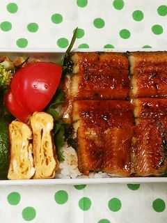 お弁当 2021.5.13-レシピのメイン写真