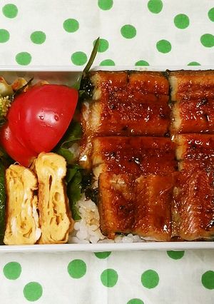 お弁当 2021.5.13-レシピのメイン写真