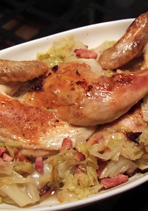 雛鳥とちりめんキャベツの蒸し焼き-レシピのメイン写真